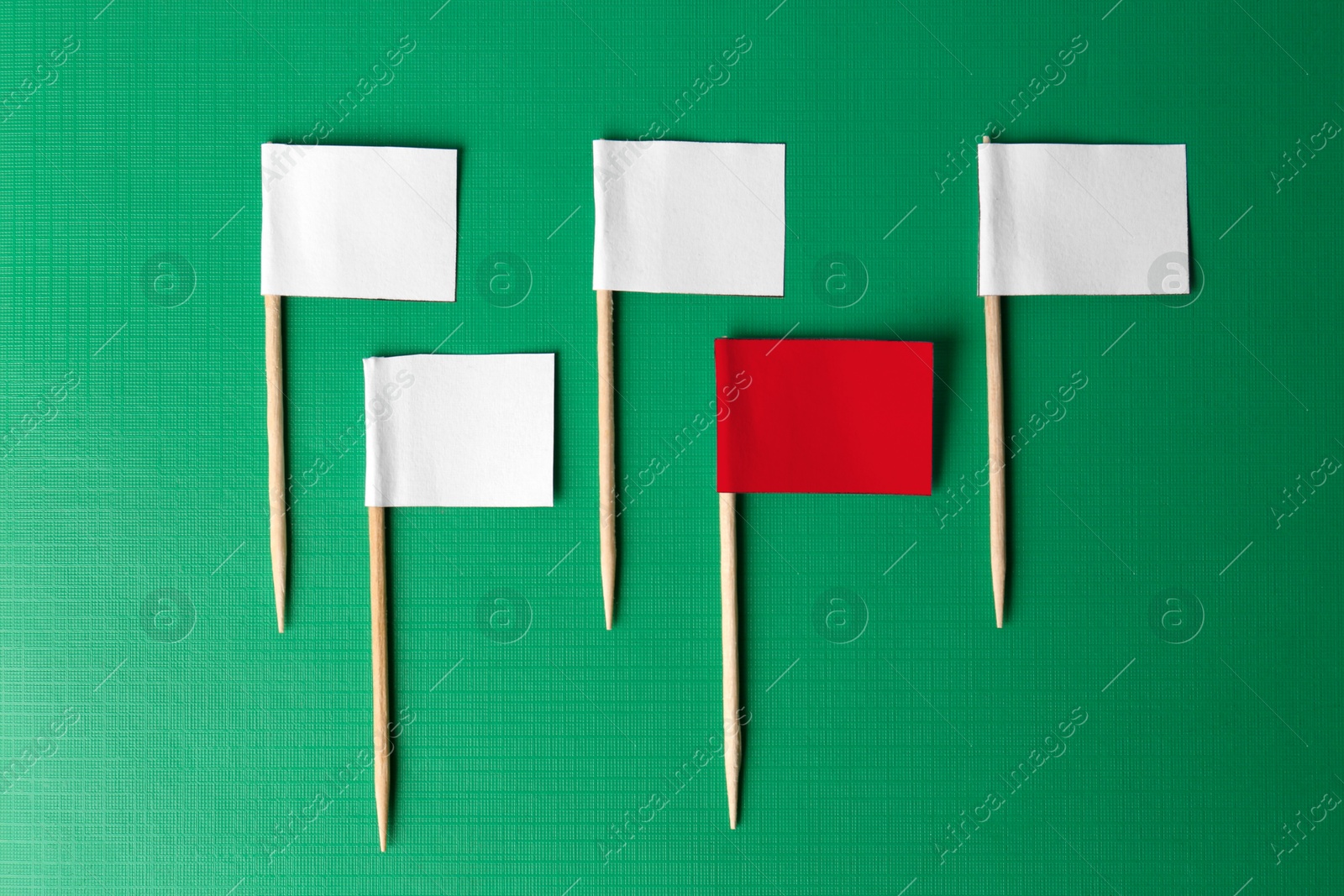 Individuality, uniqueness, different. Red small flag among white ones on green background, flat lay Image of Individuality, uniqueness, different. Red small flag among white ones on green background, flat lay
