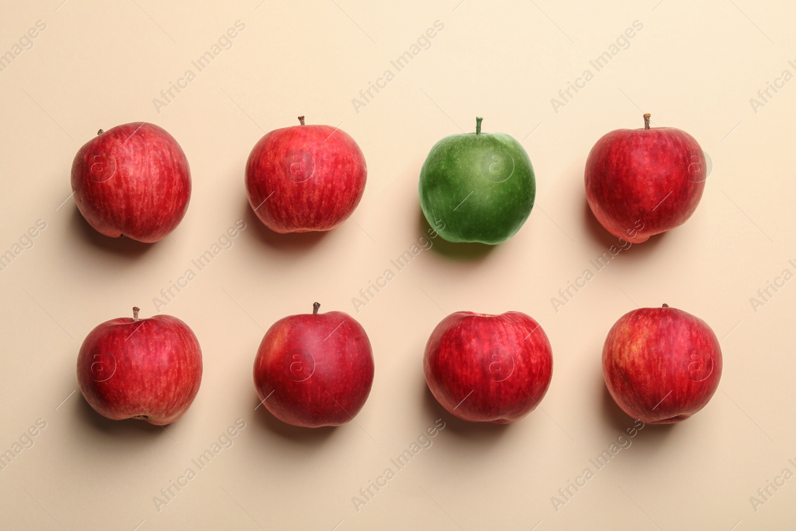 Individuality, uniqueness, different. Green apple among red ones on beige background, flat lay Image of Individuality, uniqueness, different. Green apple among red ones on beige background, flat lay
