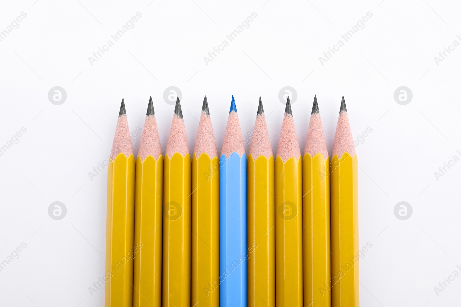 Individuality, uniqueness, different. Light blue pencil among yellow ones on white background, top view Image of Individuality, uniqueness, different. Light blue pencil among yellow ones on white background, top view