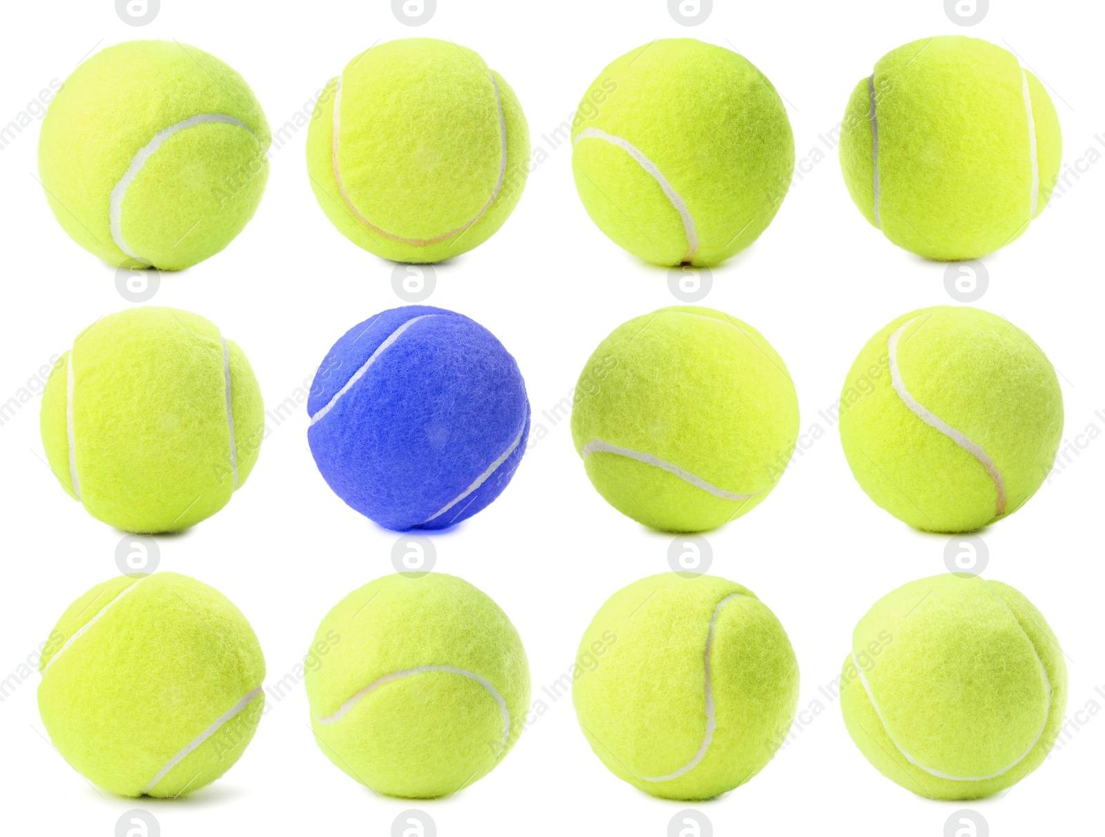 Image of Individuality, uniqueness, different. Blue tennis ball among yellow ones on white background