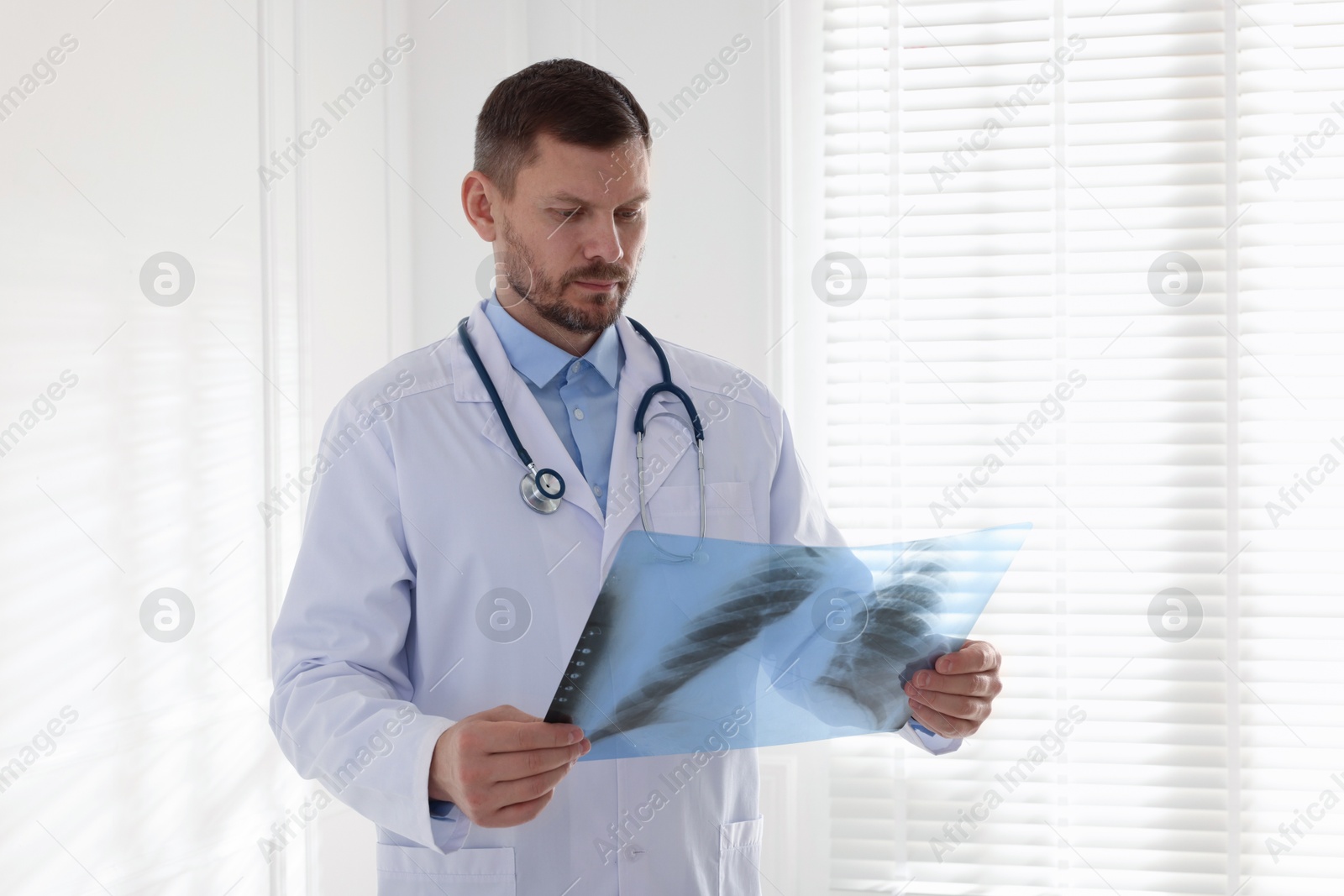 Doctor examining lung MRI scan in clinic Photo of Doctor examining lung MRI scan in clinic