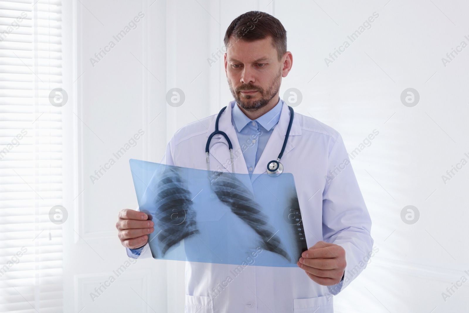 Doctor examining lung MRI scan in clinic Photo of Doctor examining lung MRI scan in clinic