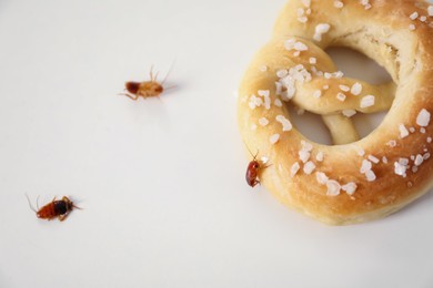 Photo of Cockroaches and salted pretzel on white table, above view. Pest problem