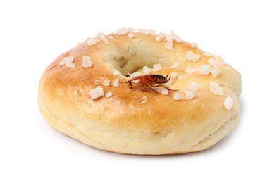 Photo of Cockroach crawling on salted pretzel against white background