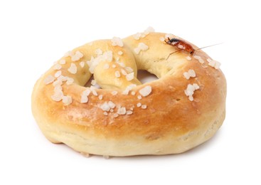 Photo of Cockroach crawling on salted pretzel against white background