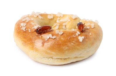 Photo of Cockroaches crawling on salted pretzel against white background