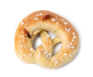 Photo of Cockroaches crawling on salted pretzel against white background, top view