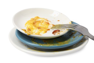 Photo of Cockroach crawling on dirty dishes against white background