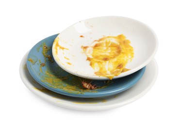 Photo of Cockroach crawling on dirty dishes against white background