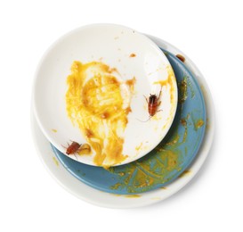 Photo of Cockroaches crawling on dirty dishes against white background, top view