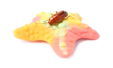 Photo of Cockroach crawling on gummy candy against white background