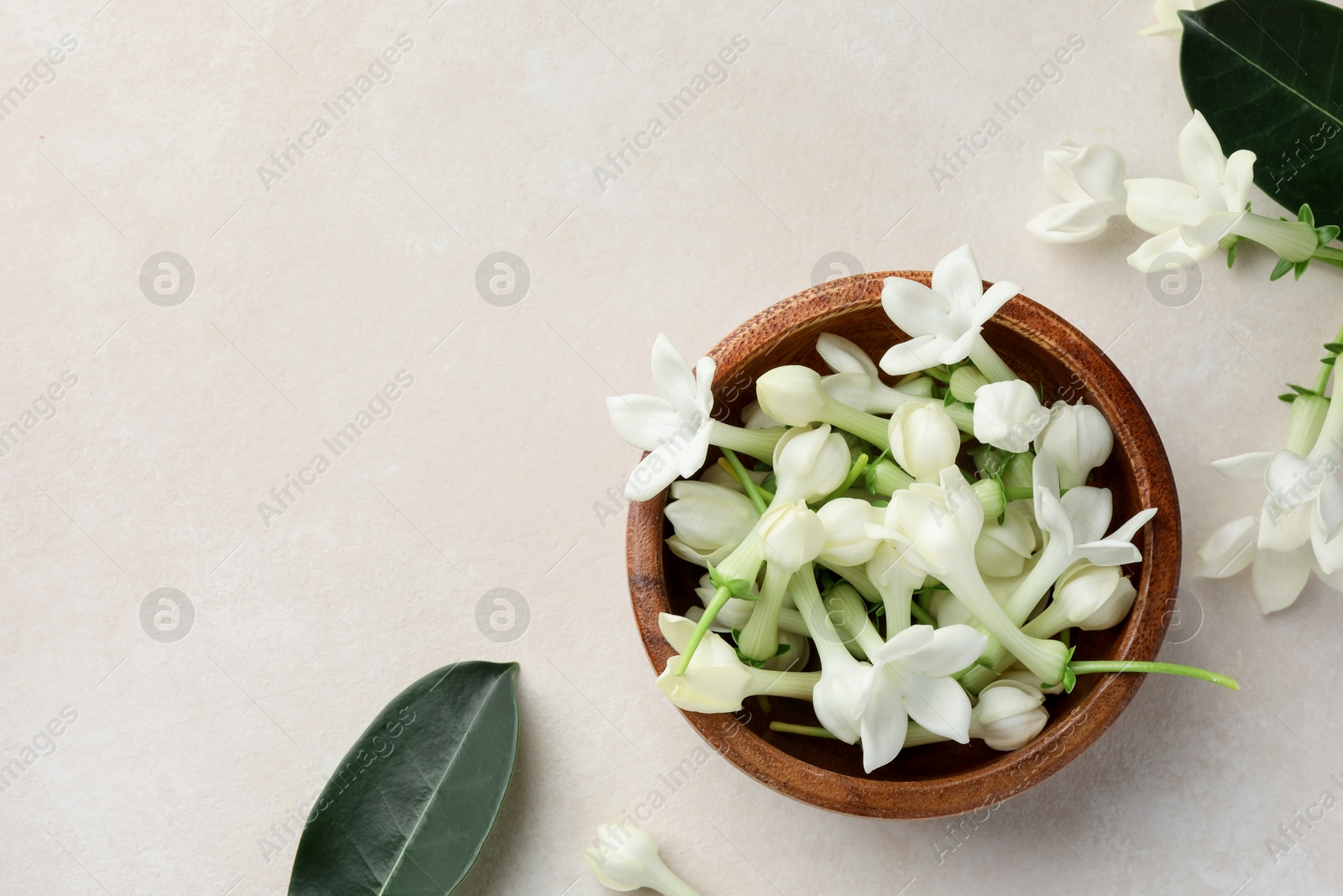Bowl with jasmine flowers on beige table, flat lay. Space for text Photo of Bowl with jasmine flowers on beige table, flat lay. Space for text