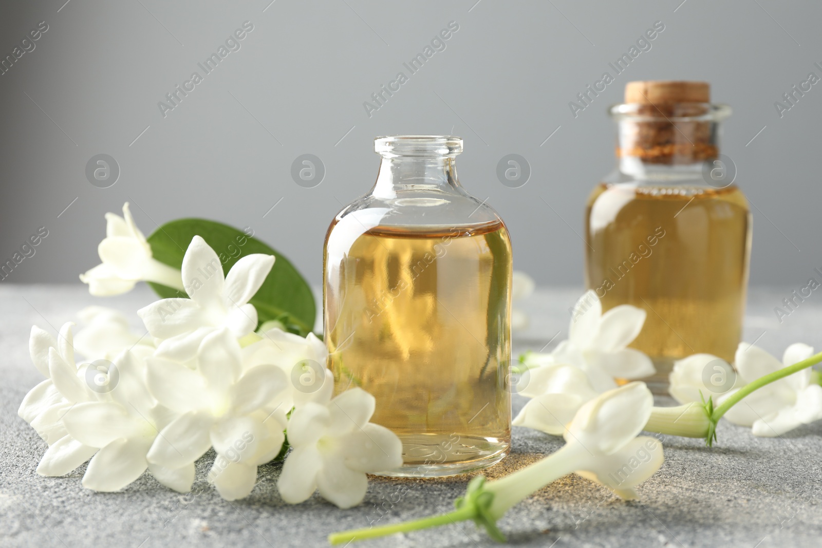 Bottles of essential oil and jasmine flowers on grey table, closeup Photo of Bottles of essential oil and jasmine flowers on grey table, closeup