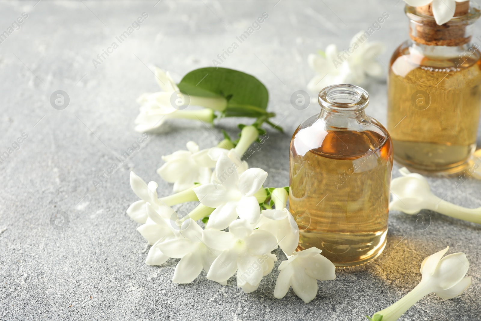 Bottles of essential oil and jasmine flowers on grey table, closeup. Space for text Photo of Bottles of essential oil and jasmine flowers on grey table, closeup. Space for text