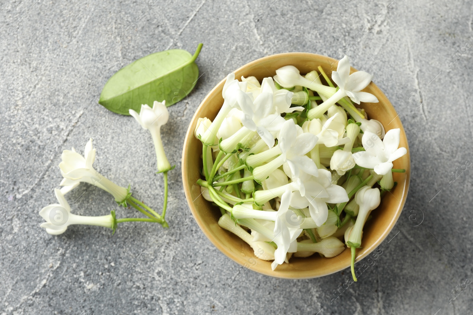 Beautiful jasmine flowers in bowl on grey table, flat lay Photo of Beautiful jasmine flowers in bowl on grey table, flat lay