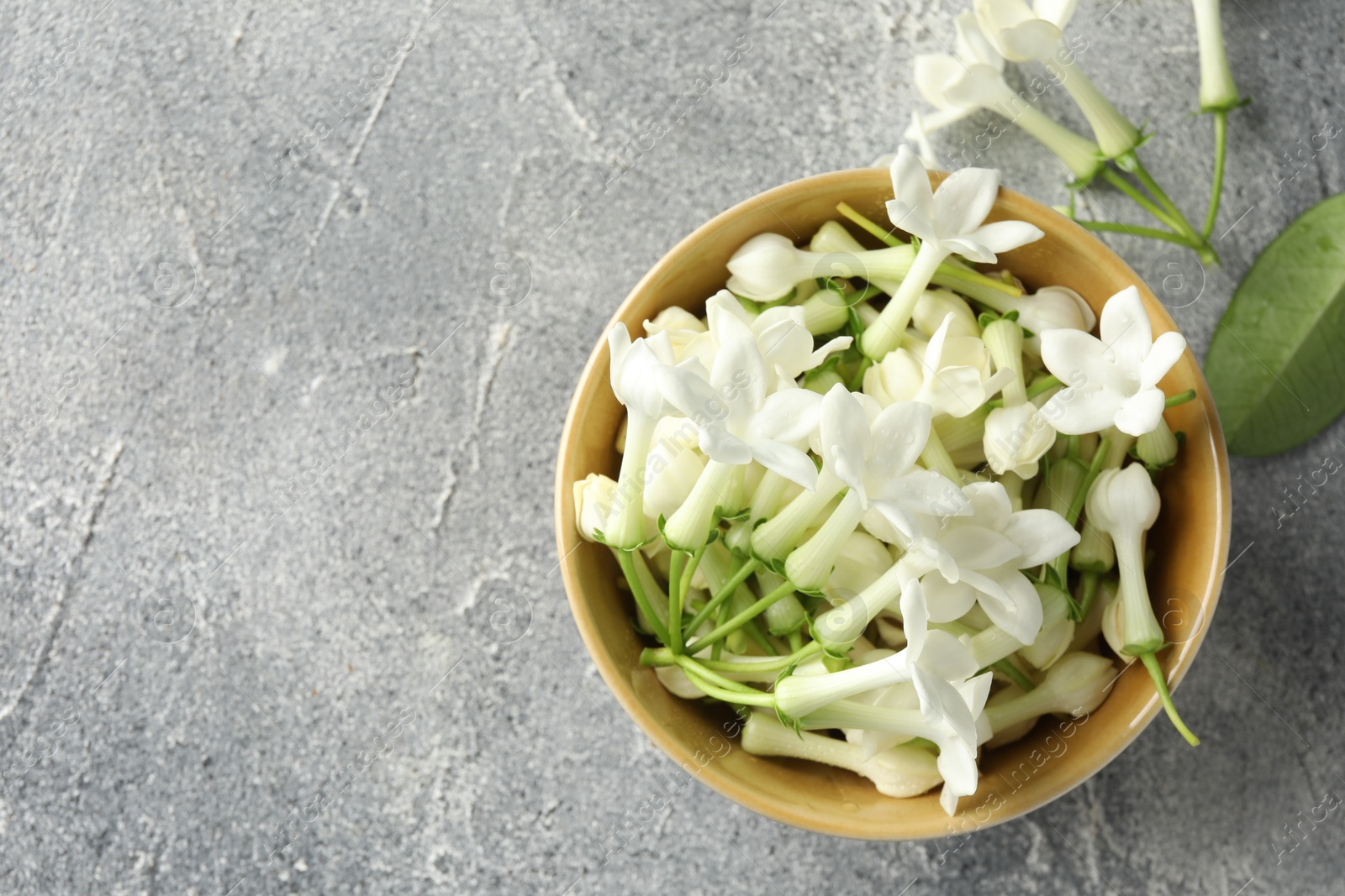 Beautiful jasmine flowers in bowl on grey table, flat lay. Space for text Photo of Beautiful jasmine flowers in bowl on grey table, flat lay. Space for text