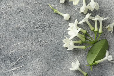 Photo of Beautiful jasmine flowers and green leaf on grey table, flat lay. Space for text