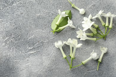 Photo of Beautiful jasmine flowers and green leaf on grey table, flat lay. Space for text