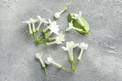 Photo of Beautiful jasmine flowers and green leaf on grey table, flat lay