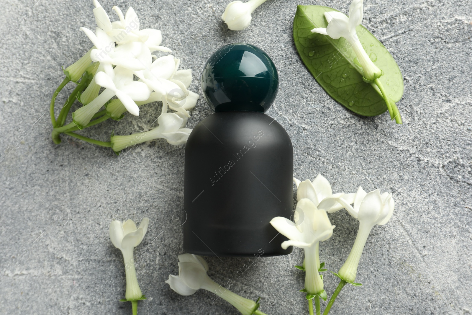 Perfume and jasmine flowers on grey table, flat lay Photo of Perfume and jasmine flowers on grey table, flat lay