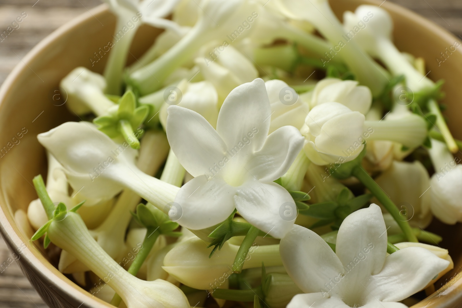 Beautiful jasmine flowers in bowl, closeup view Photo of Beautiful jasmine flowers in bowl, closeup view