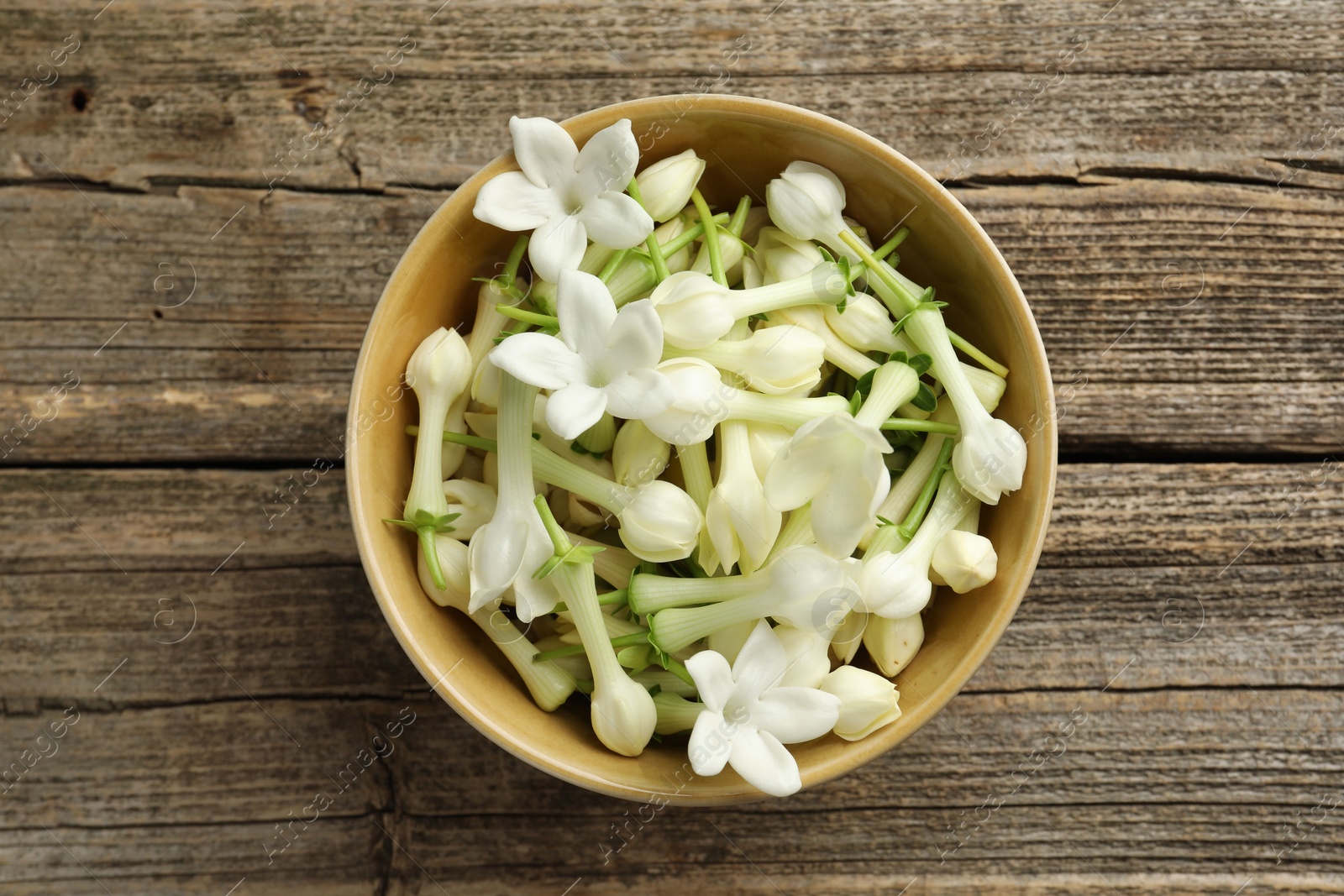 Beautiful jasmine flowers in bowl on wooden table, top view Photo of Beautiful jasmine flowers in bowl on wooden table, top view