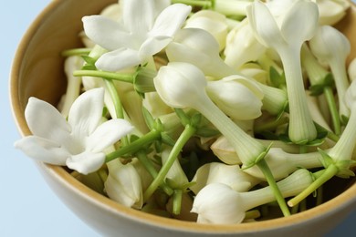Photo of Beautiful jasmine flowers in bowl on light blue background, closeup