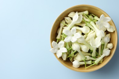 Photo of Beautiful jasmine flowers in bowl on light blue background, top view. Space for text