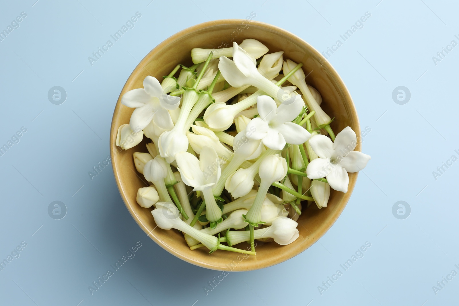 Beautiful jasmine flowers in bowl on light blue background, top view Photo of Beautiful jasmine flowers in bowl on light blue background, top view
