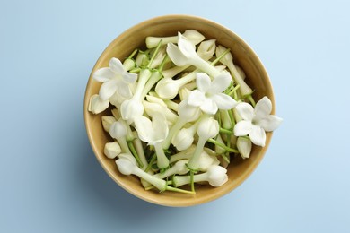 Photo of Beautiful jasmine flowers in bowl on light blue background, top view