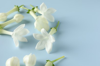 Photo of Beautiful jasmine flowers on light blue background, closeup. Space for text