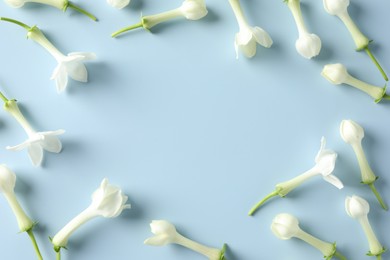Photo of Frame of beautiful jasmine flowers on light blue background, flat lay. Space for text