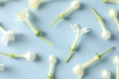 Photo of Beautiful jasmine flowers on light blue background, flat lay