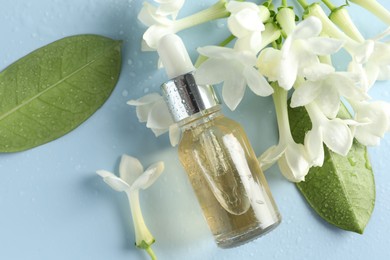Photo of Bottle of essential oil, jasmine flowers and green leaves on light blue background, flat lay