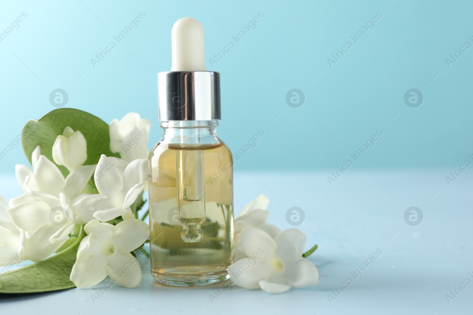 Bottle of essential oil, jasmine flowers and green leaves on light blue background, closeup. Space for text Photo of Bottle of essential oil, jasmine flowers and green leaves on light blue background, closeup. Space for text