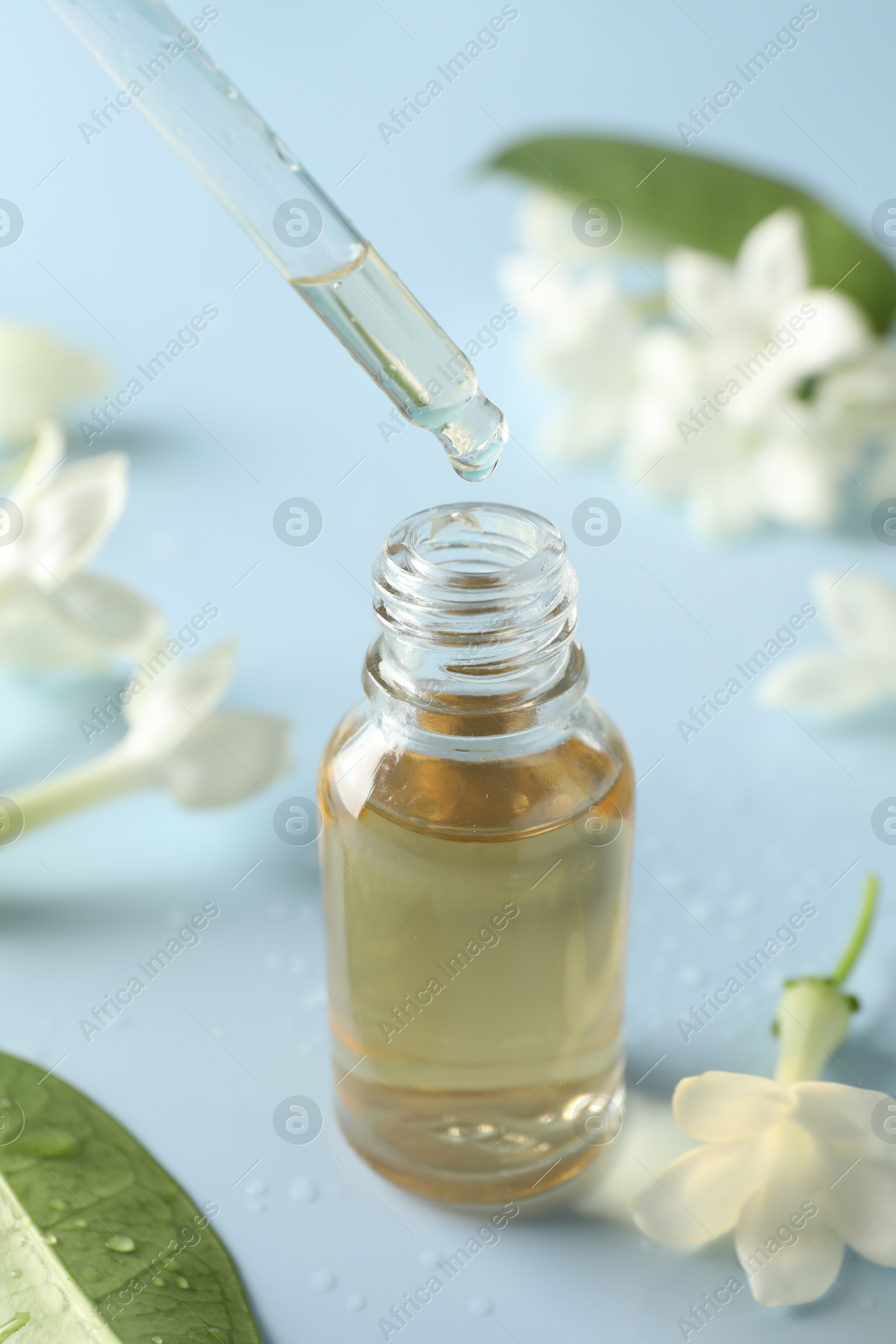 Dripping essential oil from pipette into bottle and jasmine flowers on light blue background, closeup Photo of Dripping essential oil from pipette into bottle and jasmine flowers on light blue background, closeup