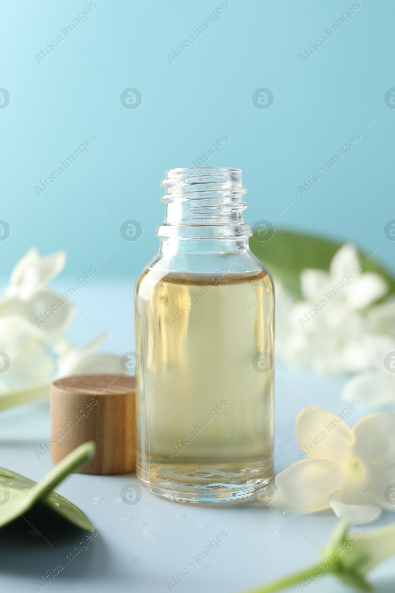 Bottle of essential oil and jasmine flowers on light blue background, closeup Photo of Bottle of essential oil and jasmine flowers on light blue background, closeup