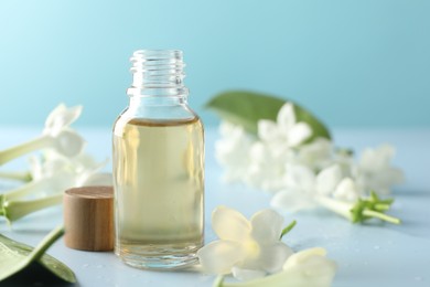 Photo of Bottle of essential oil and jasmine flowers on light blue background, closeup. Space for text
