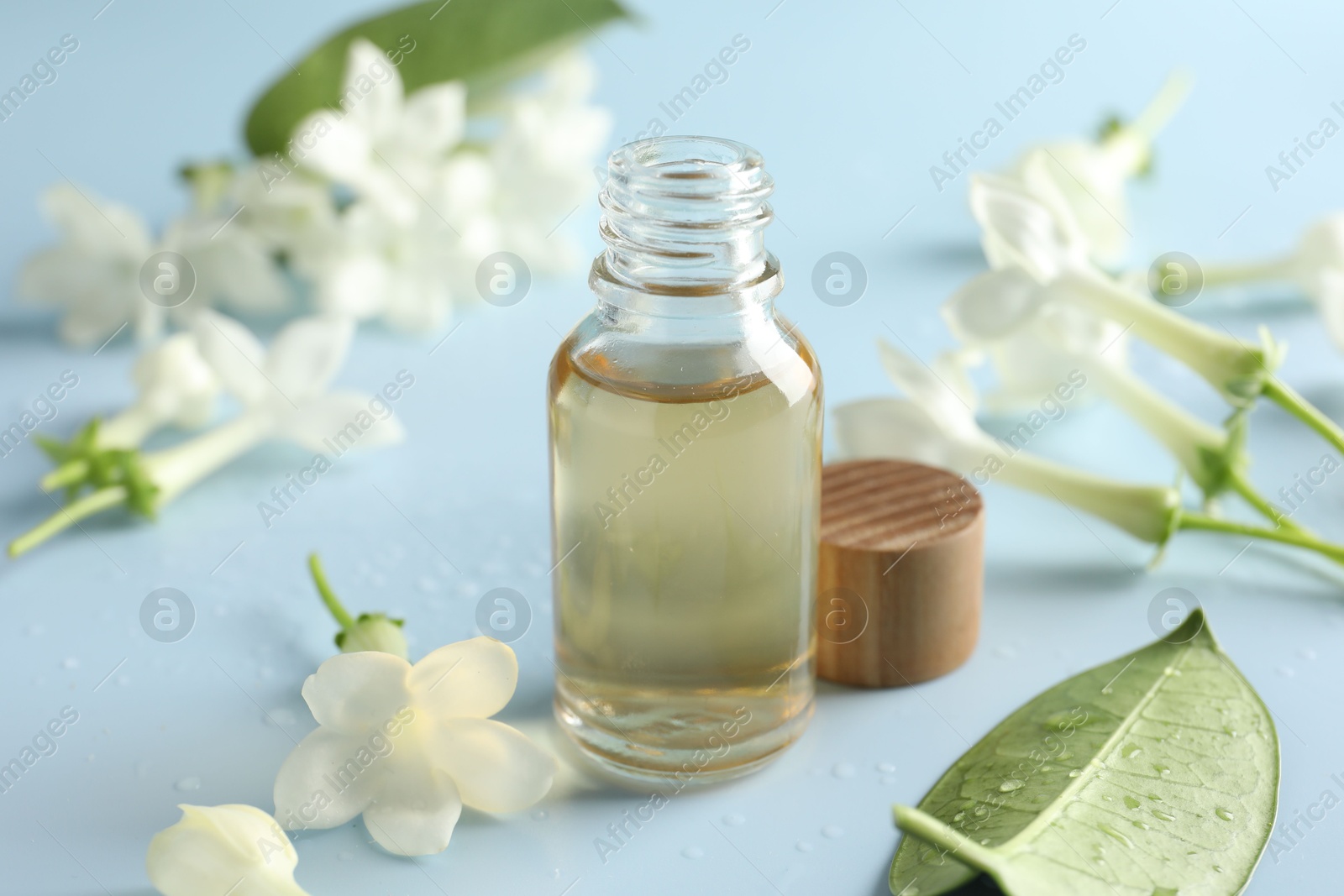 Bottle of essential oil and jasmine flowers on light blue background, closeup Photo of Bottle of essential oil and jasmine flowers on light blue background, closeup