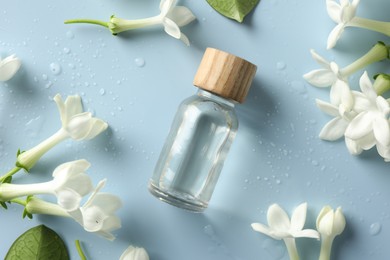 Photo of Bottle of essential oil and jasmine flowers on light blue background, flat lay