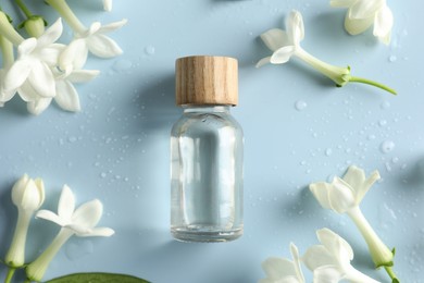 Photo of Bottle of essential oil and jasmine flowers on light blue background, flat lay