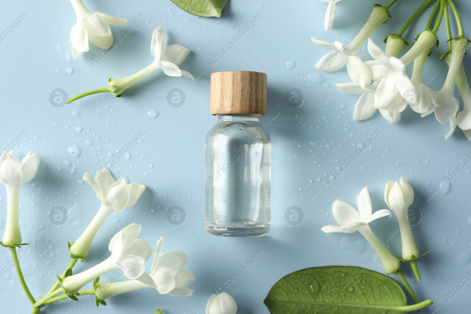 Bottle of essential oil and jasmine flowers on light blue background, flat lay Photo of Bottle of essential oil and jasmine flowers on light blue background, flat lay