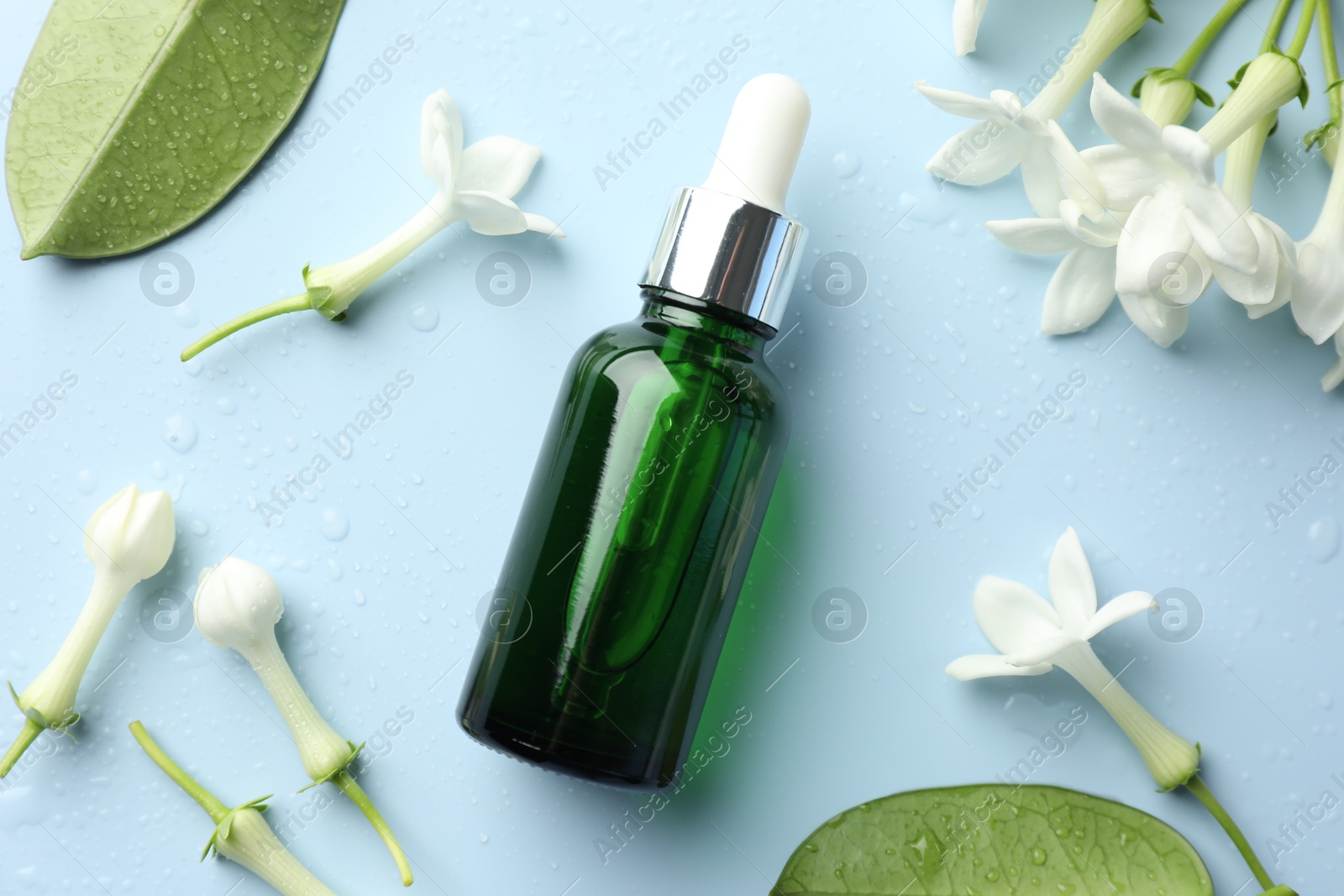 Bottle of essential oil, jasmine flowers and green leaves on light blue background, flat lay Photo of Bottle of essential oil, jasmine flowers and green leaves on light blue background, flat lay
