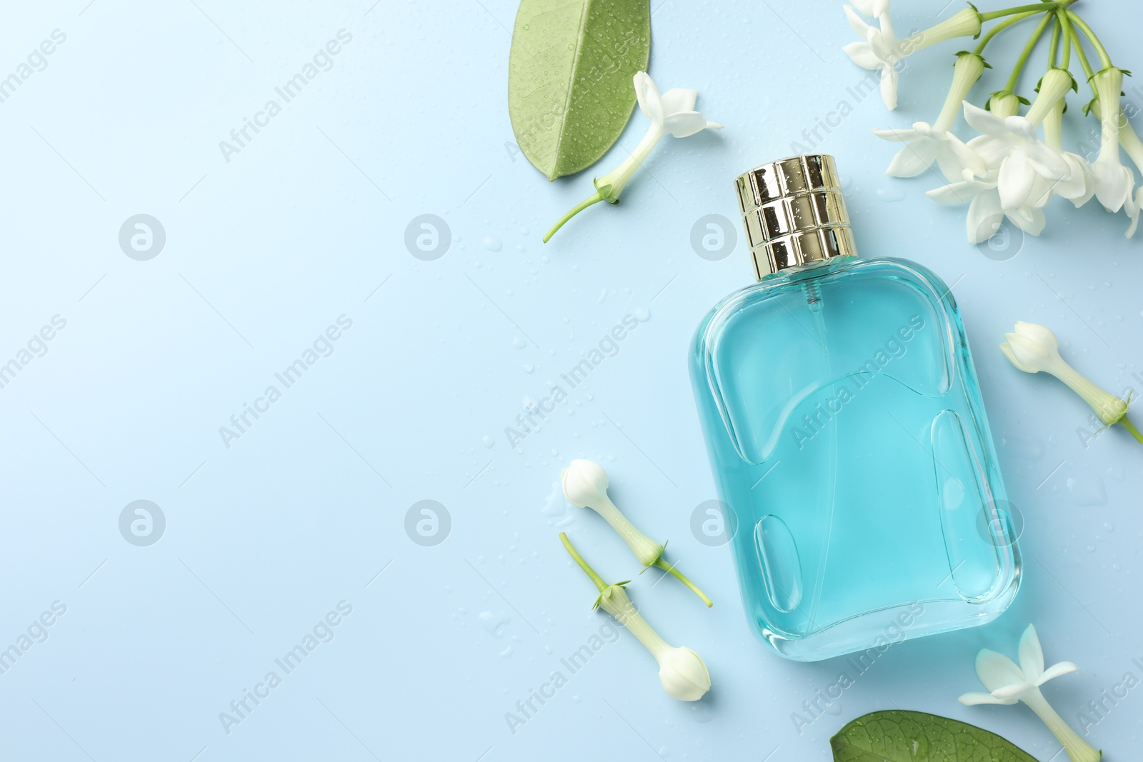 Perfume and jasmine flowers on light blue background, flat lay. Space for text Photo of Perfume and jasmine flowers on light blue background, flat lay. Space for text