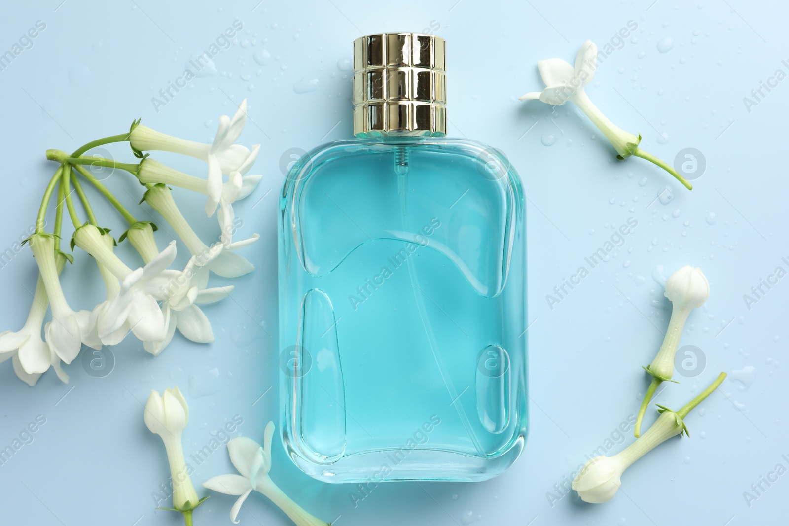 Perfume and jasmine flowers on light blue background, flat lay Photo of Perfume and jasmine flowers on light blue background, flat lay