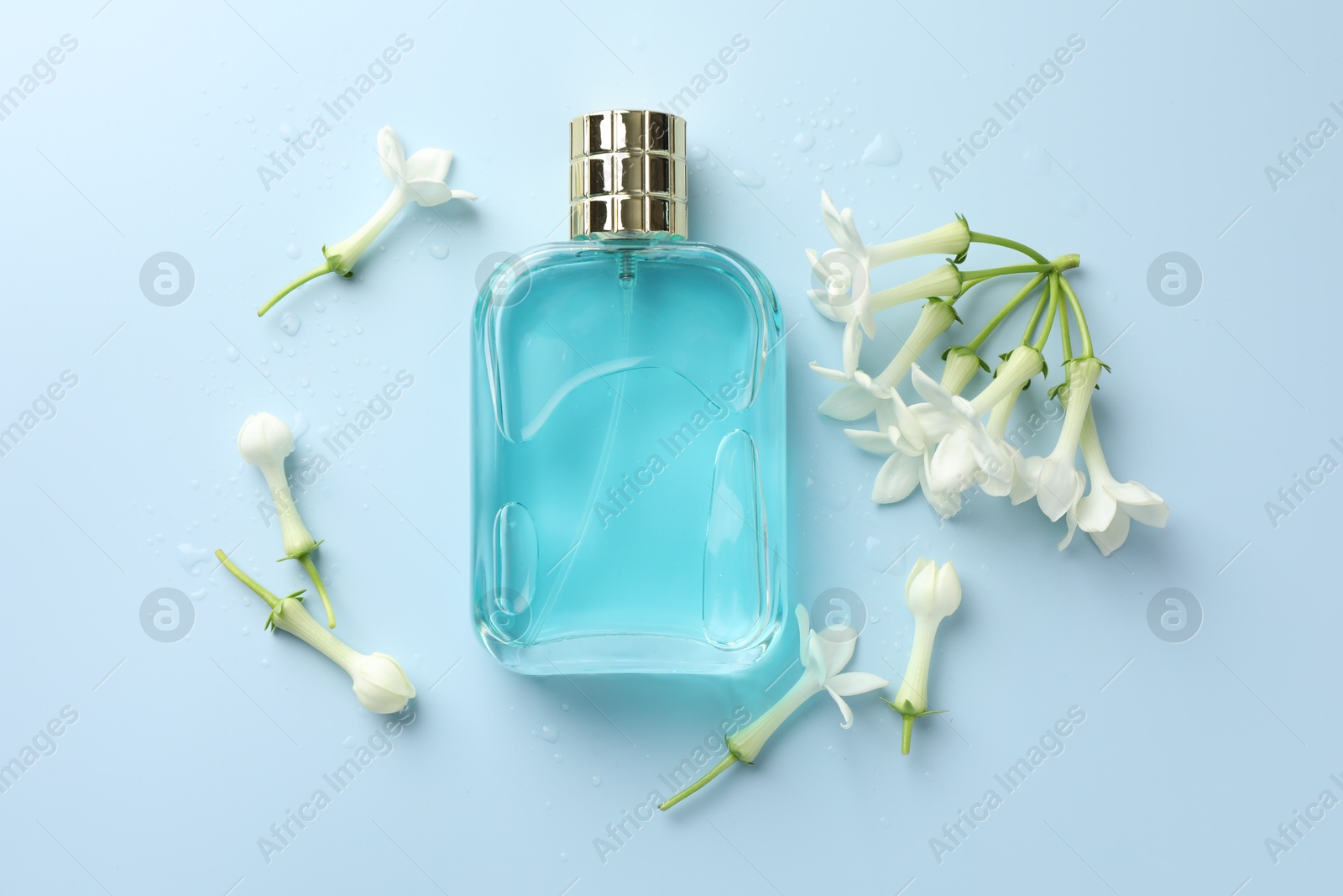Perfume and jasmine flowers on light blue background, flat lay Photo of Perfume and jasmine flowers on light blue background, flat lay