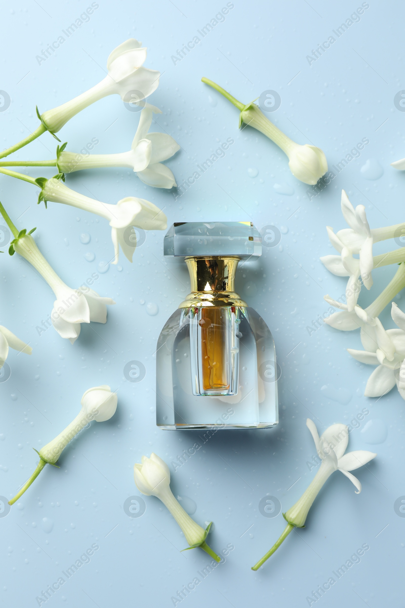 Perfume and jasmine flowers on light blue background, flat lay Photo of Perfume and jasmine flowers on light blue background, flat lay