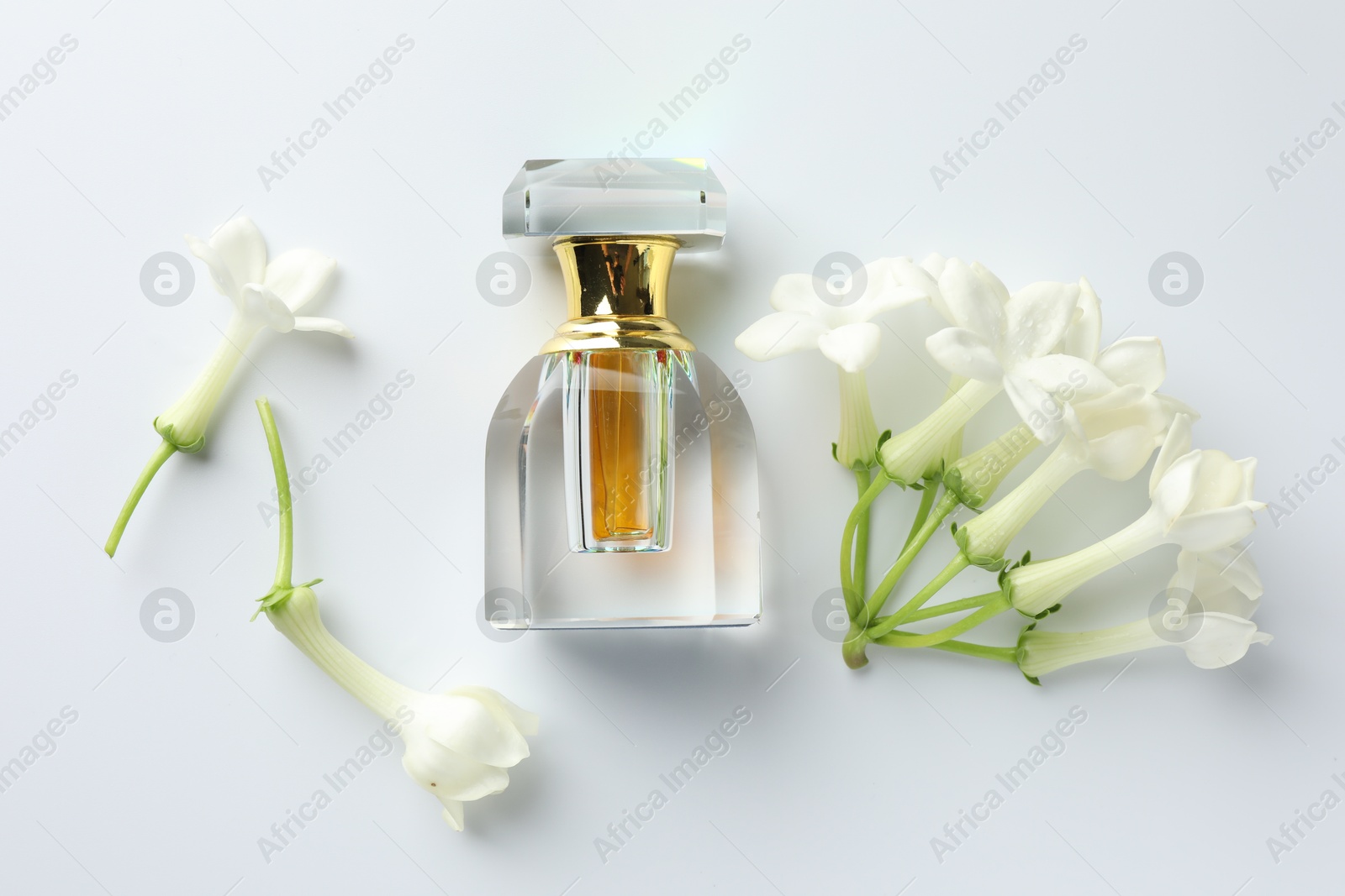 Perfume and jasmine flowers on white background, flat lay Photo of Perfume and jasmine flowers on white background, flat lay