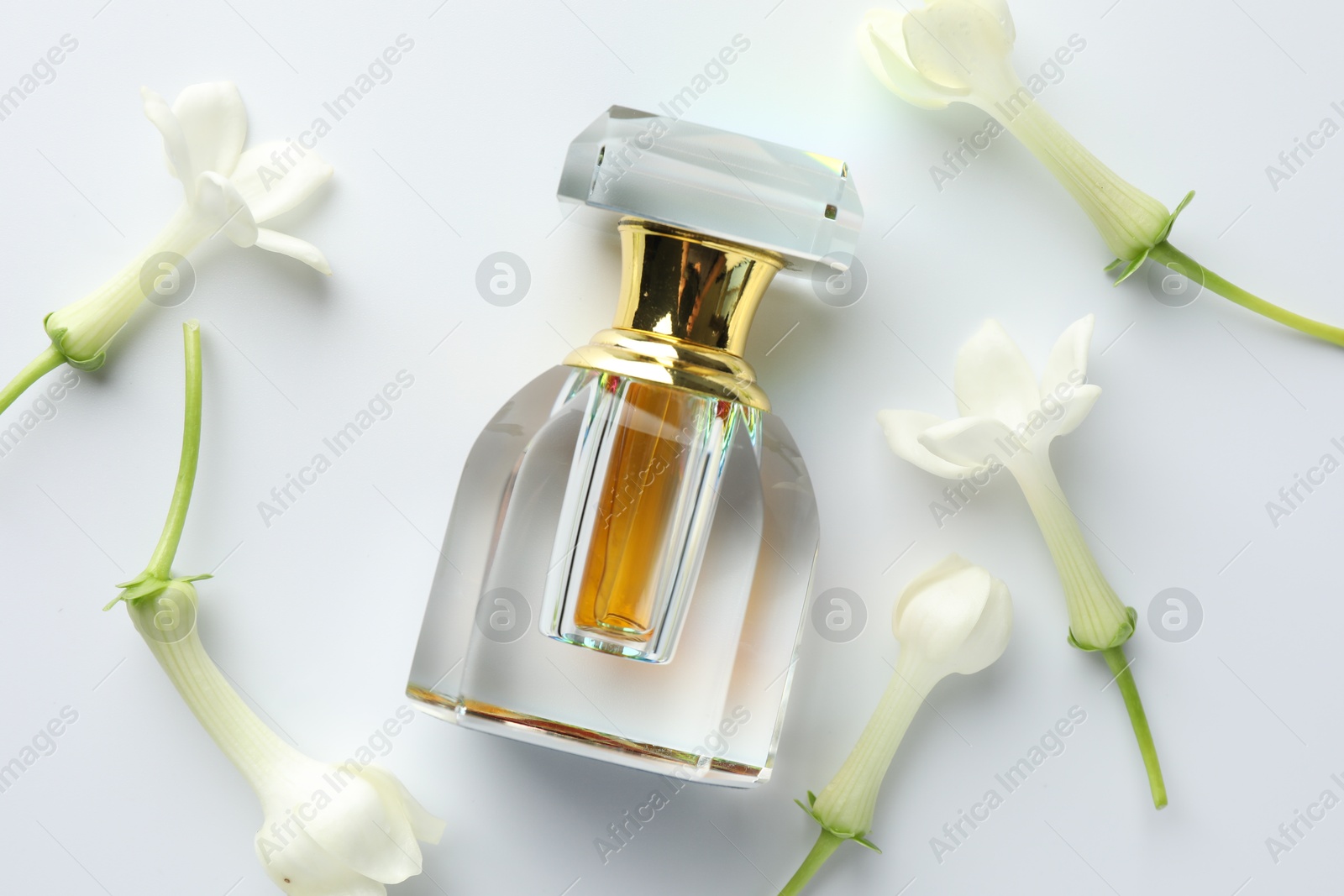 Perfume and jasmine flowers on white background, flat lay Photo of Perfume and jasmine flowers on white background, flat lay