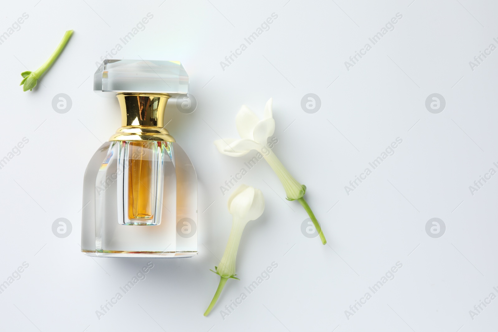 Perfume and jasmine flowers on white background, flat lay. Space for text Photo of Perfume and jasmine flowers on white background, flat lay. Space for text